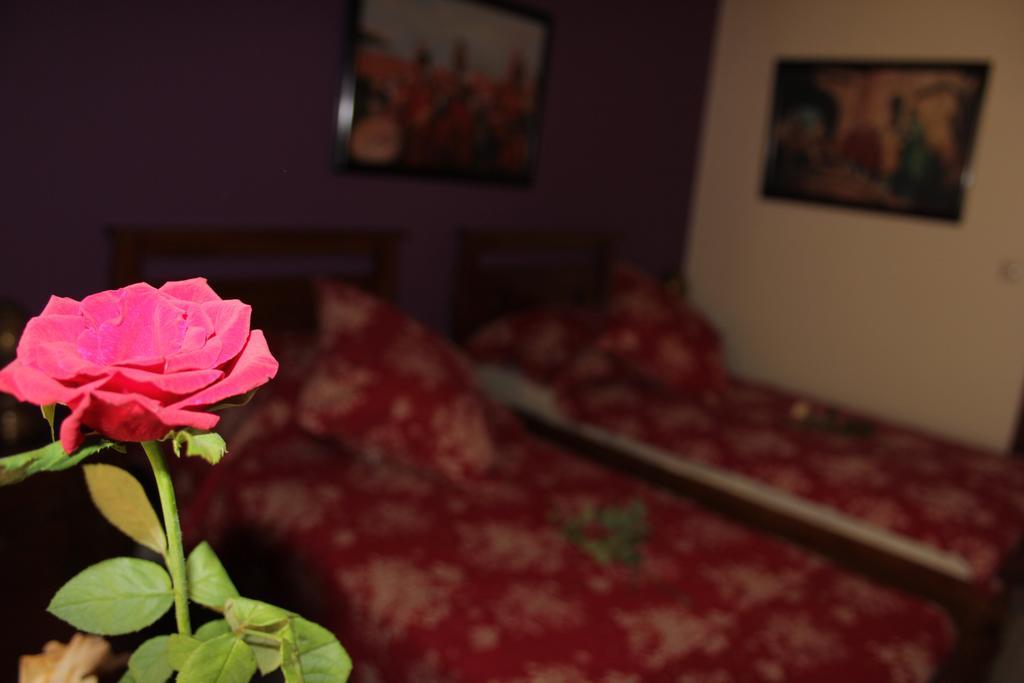 Riad Mimosa Fès Dış mekan fotoğraf
